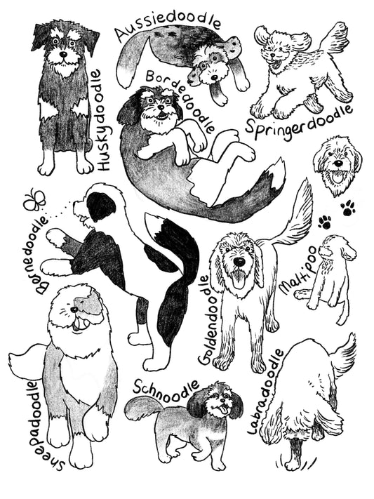 Doodle Party Tee Shirts